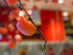 -牛腩之旅·牛腩牛杂煲(光启城美食城店)