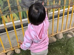 -南湖梦幻岛