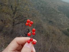 -香山公园-东宫门售票处