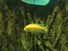 -锦艺城海洋馆