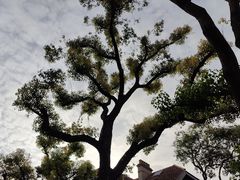 -思南公馆商业街