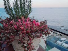 -Cafe Rooftop Cheongsapo