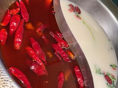 -麻田会 ·鲜活现烹·牛蛙火锅(珠江新城维家思广场店)