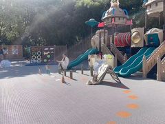 -上海青草地幼儿园