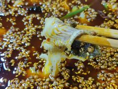 -鸿顺老铁锅美蛙鱼府(解放碑店)