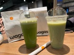 -Wagas沃歌斯(浦东机场店)