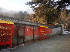 -阳台山自然风景区