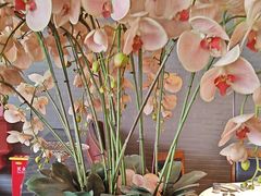 -八府香鸭·啫啫煲(华山路店)