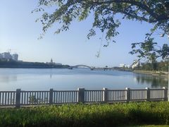 -五缘湾湿地公园