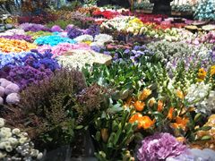 -双季花艺园艺市场(浦东店)