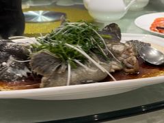 清蒸鱼-朱仔记食府(江南大道店)
