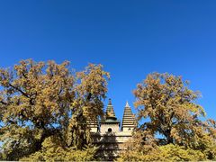 -北京石刻艺术博物馆(五塔寺)
