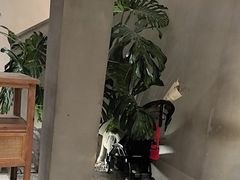 -像素研食The pixlab (皮市街店)