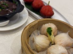-东国海鲜火锅城(氹仔店)