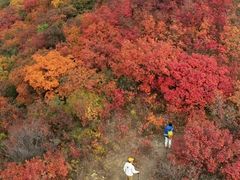 -少华山国家森林公园
