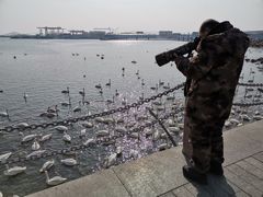 -烟墩角天鹅湖