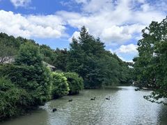 -上海野生动物园