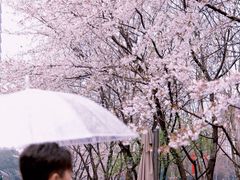 -砂之船奥莱(南京江宁店)