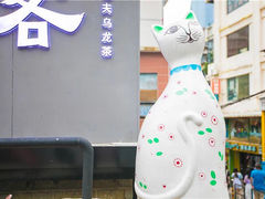-猫咪博物馆(顶澳仔猫街店)