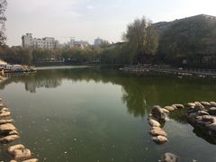 -莲湖公园