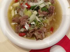 家常炖羊肉-凯鸽酒楼(操场城店)