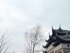 -苏州上方山国家森林公园