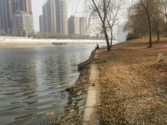 -沙澧河风景区