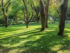 -深圳国际园林花卉博览园