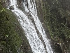 -藏龙百瀑风景区