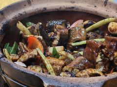 -天宝食坊·啫啫煲大排档(西华路店)