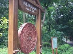 -南宁良凤江国家森林公园