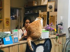 -小时光咖啡馆(北锣鼓巷店)