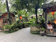 -青城甲(青城山店)