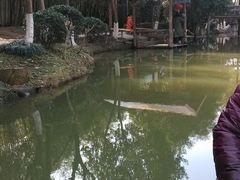 -定园