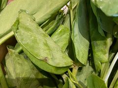 -盡膳口福跷脚牛肉火锅(合生汇购物中心店)