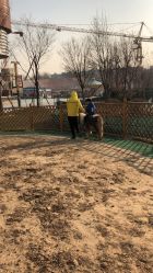 -萌宠亲子动物乐园(槐房万达店)