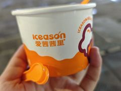 -iceason爱茜茜里·意大利健康冰淇淋(骑龙巷店)