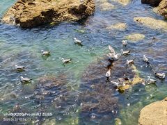 -长岛南北长山旅游景区