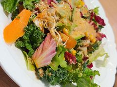 蔬菜沙拉-连鹭海鲜·海肠捞饭·海胆饭(星海店)