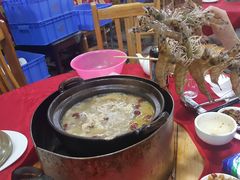 -花苑美食横琴生蚝火锅(拱北粤华路店)