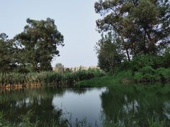 -两河城市森林公园