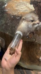 -Zoolung Zoolung动物主题公园(海信广场店)