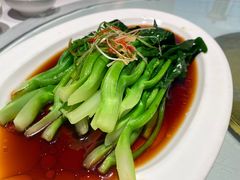 -眉州东坡(望京店)