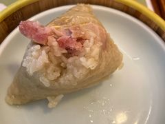 -真真老老(月河花鸟市场店)