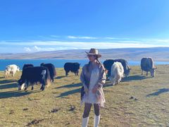 -青海湖国家重点风景名胜区
