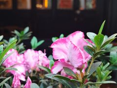 -广益饭店·云南菜·传统滇菜(翠湖北门书屋店)