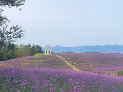 -密云玫瑰情园