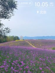 -密云玫瑰情园