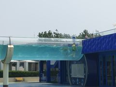 -秦皇岛乐岛海洋王国