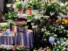 -循礼门鲜花花市(武汉循礼门店)